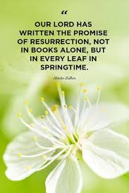 Maybe you would like to learn more about one of these? 44 Best Easter Quotes 2021 Religious Easter Sayings