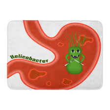 Godpok Bacillus Bacteria Helicobacter Pylori Ulcers The Disease Of Stomach And Duodenum Aricature Cartoon Gut Rug Doormat Bath Mat 23 6x15 7 Inch Walmart Com Walmart Com Emptying the mixture into your small intestine. godpok bacillus bacteria helicobacter pylori ulcers the disease of stomach and duodenum aricature cartoon gut rug doormat bath mat 23 6x15 7 inch