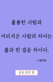 명언 좋은글 사랑 좋은말 힐링 좋은글모음 글을꿈꾼밤 나폴레옹 명언 공부 좋은 말