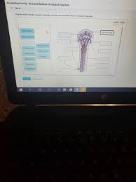 Anatomy of a long bone #anatomy images illustrations #anatomy images character design #anatomy. Long Bone Labeled Cengage Arteries Long Bone The Body Or Diaphysis Is Cylindrical With A Central Cavity Termed Themedullary Canal Solomon Moore