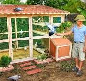8 minutes learn to make bird cage from wood