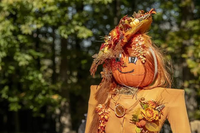 Cheekwood Harvest Scarecrows | Cheekwood Estate & Gardens