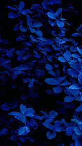 99 Iphone Wallpaper Tumblr Blue Flower Wallpaper Blue Aesthetic Dark Dark Blue Wallpaper