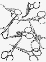 15 scissor drawing embroidery scissors professional designs for business and education. Vintage Embroidery Scissors Drawing Bird Free Transparent Png Download Pngkey