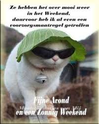 Relevantie datum schrijver soort inzending titel aantal keer bekeken beoordeling. 46 Ideeen Over Vrijdag Avond In 2021 Vrijdagavond Vrijdag Goedenavond