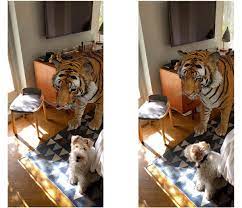 Google 3d Animals Exactly Which Animals Are Featured And How To Master Them