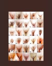 معالي @fluv1pwum6pstvl - Twitter Profile | Sotwe