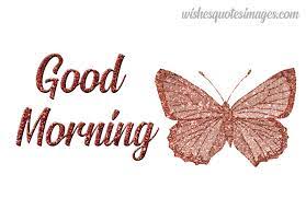 We did not find results for: Good Morning Gif Pictures Morning Greetings Images