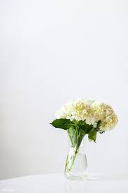 Closeup Of White Hydrangeas Social Template Free Image By Rawpixel Com Felix White Hydrangea Beautiful Bouquet Of Flowers White Flower Wallpaper