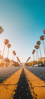 Free Download The Follow The Yellow Palmed Road Wallpaper Beaty Your Iphone Road Str Iphone Wallpaper Yellow Wallpaper Iphone Summer Tree Wallpaper Iphone