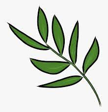 We did not find results for: Persicaria Minor Clipart Png Download Daun Png Transparent Png Transparent Png Image Pngitem