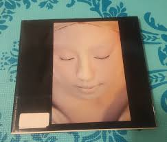 Geisha The Life, the Voices, the Art by Jodi Cobb