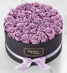 Purple roses are a magical flower! Magnificent Roses Preserved Lavender Roses 1800flowers Com