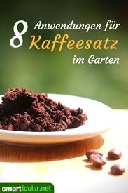 Wer eine besonders umweltschonende und kostengünstige methode sucht, um seine pflanzen zu düngen, ist mit der verwendung von kaffeesatz gut beraten. 8 Anwendungen Fur Kaffeesatz Im Garten Bitte Nicht Wegwerfen Kaffeesatz Gemuseanbau In Kubeln Mulchen