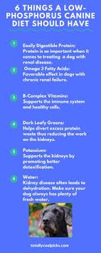 Another very low phosphoros cat food, lotus just juicy grain free turkey flavor is a great option for cats with urinary crystals. 30 Low Phosphorus Dog Food Ideas Dog Food Recipes Kidney Recipes Healthy Dog Food Recipes