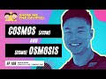Cosmos (ATOM) + Osmosis (OSMO)