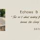 ECHOES & BEGINNINGS - 12 Sattler Rd Event Image