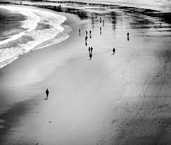 Download the perfect black and white pictures. The Zone System In Black White Photography