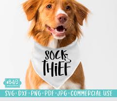 Buy Sock Thief Funny Dog SVG