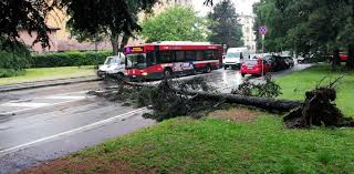Maltempo oggi bologna grandine e pioggia sulla citta meteo. Bologna Maltempo Oggi Pioggia Vento E Grandine Danni Nella Citta