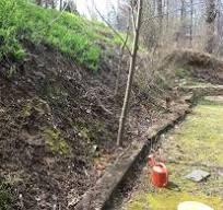 Seeking planting advice** I'm looking for a native ...