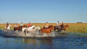 See reviews and photos of horse tracks in argentina, south america on tripadvisor. Horse Riding Holiday Argentina Gauchos Horsexplore