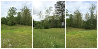 Lot For Sale In Columbiana Open Lot Access To Lay Lake With The Ability To Put A Manufactured Home On The Land Build Your Dream Home Lots For Sale Outdoor
