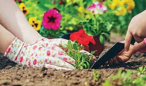 One of the jewels of downtown rochester, mn is the rochester farmers market. Family Fun And The Backyard Rwm