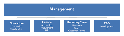 Create a detailed job ad with our finance manager job description and duties guide. Functional Areas Of Business Introduction To Business