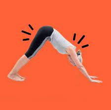 Stretching exercise benefits with proper form & technique. How To Do A Downward Dog 6 Major Benefits
