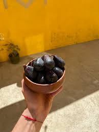 siamak abrishami (@siamakabrishami)