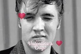 Susan Lococo's Instagram, Twitter & Facebook