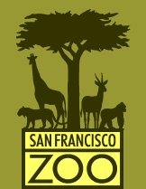 The zoo offers its visitors a chance to get closer to the magnificent animals. San Francisco Zoo Wikipedia