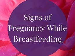 How To Recognize The Signs Of Pregnancy While Breastfeeding Wehavekids
