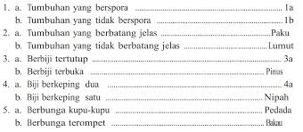 Kata pertama dalam tiap pernyataan dalam 1 kuplet harus identik, contoh: Contoh Kunci Determinasi Tanaman Materikimia