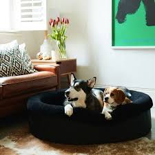 Made from 100% polyester that's soft, durable and resistant to scratches. What Do Our Doggo Friends Have Planned For Today Show Us In Emojis Dog Bed Modern Durable Dog Bed Dog Bed Large