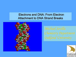 Nach dem essen können sie noch ein bisschen bummeln gehen, vielleicht zum strand la caleta. Ppt Electrons And Dna From Electron Attachment To Dna Strand Breaks Powerpoint Presentation Id 3376695