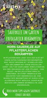 Sauerklee Im Garten Erfolgreich Bekampfen Garten Unkraut Im Garten Und Ziergarten