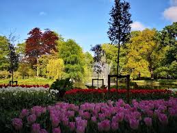 Your special someone deserves the very best, so send a bouquet from one of the top flower stores in albany, ny. Keukenhof Gardens Travel Tips What You Need To Know Before Your Visit