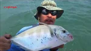 Fishing is the activity of trying to catch fish. C Lifestyle Youtube