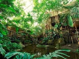 Wusstet Ihr Schon Dass Unser Jungle Dome Im Park Het Heijderbos 2500m Gross Ist Jede Menge Platz Fur Tropische Abenteuer Instagram Center Parcs Aquarium