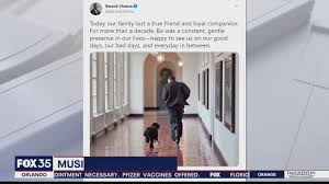 Videos posted on social media showed people exiting the mall and others. Jxyp9mdq5bgkgm