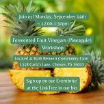 Fruit Vinegars — Ruth Bennett Community Farm