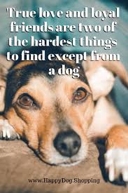 Pin On Lessons I Ve Learned