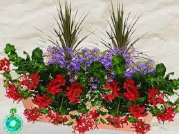 De quoi donner à votre jardin de belles couleurs ensoleillées ! Jardinieres Fleuries Faire Ses Jardinieres Entretien Des Jardinieres