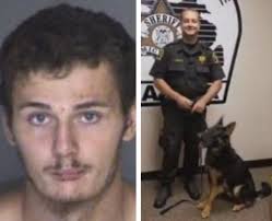Threat of police dog rouses break-in suspect out of barn