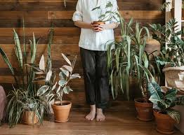 Balkonunuzun güneş alması ve yetiştireceğiniz sebze ve meyvenin balkonda ki. Balkonda Sebze Meyve Ve Cicek Nasil Yetistirilir