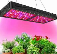 Whether you're an experienced plant parent or a gardening newbie. Do Led Grow Lights Work Can You Use Regular Led