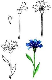 Auf Diese Seite Konnen Sie Blumen Malen Lernen Es Ist Ganz Einfach Und Mit Hilfe Diese Schone Vorlagen Erk Blumen Malen Blumen Zeichnung Kurse Blumenzeichnung