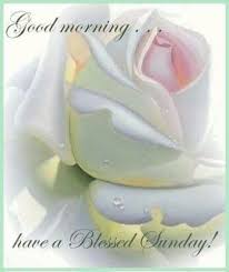 And the firmament sheweth his handiworks. 80 Sunday Blessings Greetings Blessed Sunday Have A Blessed Sunday Sunday Quotes